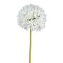 Artificial flower Allium KLATE, white, 3ft/90cm
