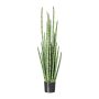 Artificial succulent Sansevieria cylindrica VROSKE, green, 5ft/140cm