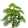 Artificial plant Philodendron Selloum PRINO, spike, 20"/50cm