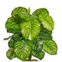 Fake Calathea Orbifolia plant BLAHEN, on a stick, green, 20"/50cm