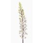 Artificial prairie candle SCHENRA, white-green, 37"/95cm