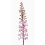 Artificial prairie candle SCHENRA, pink, 37"/95cm
