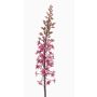 Artificial flower: SCHENRA prairie candle, fuchsia, 37"/95cm