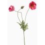 Decorative poppy branch SCHUNRA, light pink, 75cm