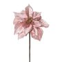 Velvet poinsettia FROLT, pink-gold, 20"/50cm