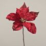 Velvet poinsettia SHEBA, red, 22"/55cm, Ø9.1"/23cm