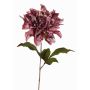 Velvet dahlia MINBU, dusky pink, 24"/60cm, Ø6.7"/17cm
