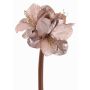 Velvet amaryllis KIRSTY, light purple, 28"/70cm, Ø5.1"-5.9"/13-15cm