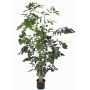 Fake fishtail palm JASNA, 6ft/190cm