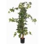 Artificial grape ivy RAMAN, natural trunks, green, 4ft/115cm