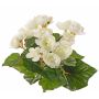 Fake begonia BIRMA on spike, cream, 8"/20cm, Ø1.2"-2"/3-5cm