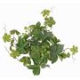 Artificiel Virginia creeper bush AMYCUS on spike, fruits, green, 14"/35cm