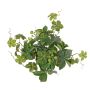 Artificiel Virginia creeper bush AMYCUS on spike, fruits, green, 14"/35cm