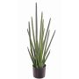 Artificial Sansevieria Cylindrica ASTARIA, green, 3ft/95cm