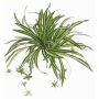 Fake spider plant DEMIAN on spike, green-white, 20"/50cm