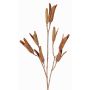 Artificial lily seed spray ELFIDA, brown, 31"/80cm, Ø0.8"-1.2"/2-3cm