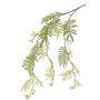 Artificial mimosa spray ELPIDA, green, 4ft/110cm