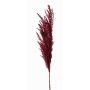 Artificial branch pampas grass panicle ERATO, burgundy, 3ft/100cm
