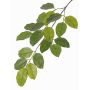 Artificial Banyan fig spray ERASMOS, flame retardant, green, 31"/80cm