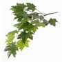 Artificial maple spray EUSEBIA, flame retardant, green, 31"/80cm
