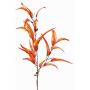 False eucalyptus spray EUSEBIOS, orange-yellow, 3ft/100cm
