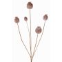 Artificial poppy capsule FILOMELA, light brown, 30"/75cm, Ø0.8"-1.4"/2-3.5cm