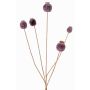 Artificial poppy capsule FILOMELA, dark brown, 30"/75cm, Ø0.8"-1.4"/2-3.5cm