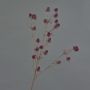 Fake thistle spray (Eryngium) LOUKAS, burgundy red, 28"/70cm, Ø0.6"/1,5cm
