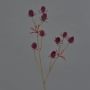 Fake thistle spray (Eryngium) LOUKAS, burgundy red, 18"/45cm, Ø0.6"/1,5cm