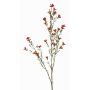 Artificial wax flower NIANG, orange-red, 31"/80cm, Ø0.6"-1"/1.5-2.5cm