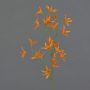 Artificial flower Tweedia solanoides PALLAS, orange, 30"/75cm, Ø2"/5cm