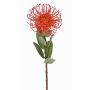 Artificial protea BAILY, orange, 22"/55cm, Ø3.9"/10cm