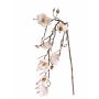 Artificial magnolia KOSMAS, cream, 4ft/115cm, Ø3.1"/8cm