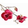 Fake magnolia KOSTAS, fuchsia, 22"/55cm, Ø2.4"-3.1"/6-8cm