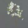 Artificial flower dogwood NARIUS with blossoms, cream, 33"/85cm
