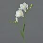 Synthetic freesia MARUSHA, white, 26"/65cm, Ø2.8"/7cm
