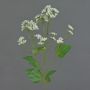 Artificial Eupatorium (Boneset) KORALIA, cream, 31"/80cm