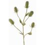 Fake wild teasel spray (Dipsacus) KASTANIA, green, 35"/90cm