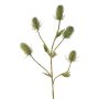 Fake wild teasel spray (Dipsacus) KASTANIA, green, 3ft/90cm