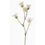 Artificial Dianthus KASTALIA, cream, 26"/65cm, Ø1.6"-2"/4-5cm