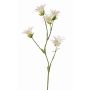 Artificial Dianthus KASTALIA, cream, 26"/65cm, Ø1.6" - 2"/4-5cm
