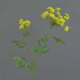 Artificial Queen Anne's lace (Ammi majus) KALIXTUS, green, 30"/75cm, Ø2.8"-5.1"/7-13cm