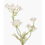 Artificial Wild Carrot KALOMIRA, white, 33"/85cm, Ø2.4"-3.9"/6-10cm