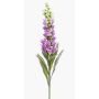 Fake foxglove LOBEIRA, purple, 3ft/90cm