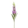 Fake foxglove LOBEIRA, purple, 3ft/90cm