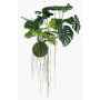 Decorative Philodendron Monstera Deliciosa YUNUS, moss ball, 31"/80cm