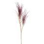 Decorative branch of pampas grass AGATO, burgundy, 4ft/135cm