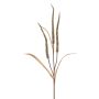 Artificial Chinese pennisetum branch ANWEN with panicles, brown, 33"/85cm