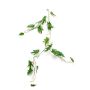 Decorative Philodendron Selloum Garland MATAS, 4ft/110cm