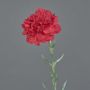Artificial carnation NIRUSHA, red, 26"/65cm